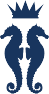 Logo Solo Blu